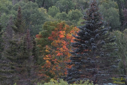 September On the Nashwaak
