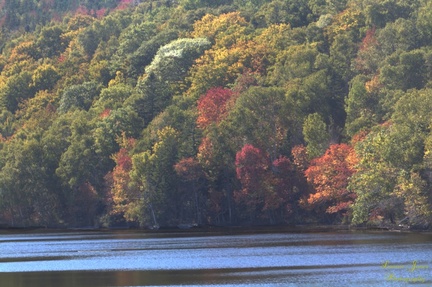 Autumn Splendour