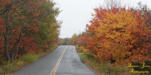 Country Road