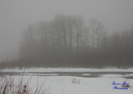 Fog On the River