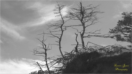 On the Edge