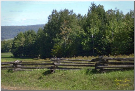 Ancient Fence