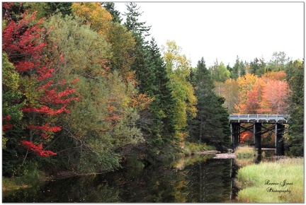 AUTUMN on The NORTHWEST ARM