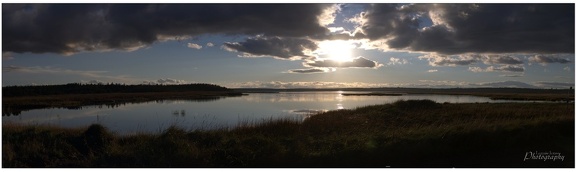 THE CALM AFTER THE STORM